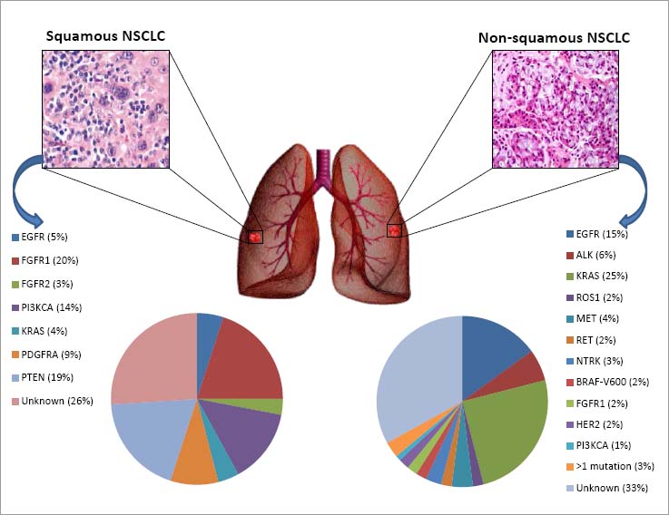 Targeting driver mutations in non-small-cell lung cancer, beyond the